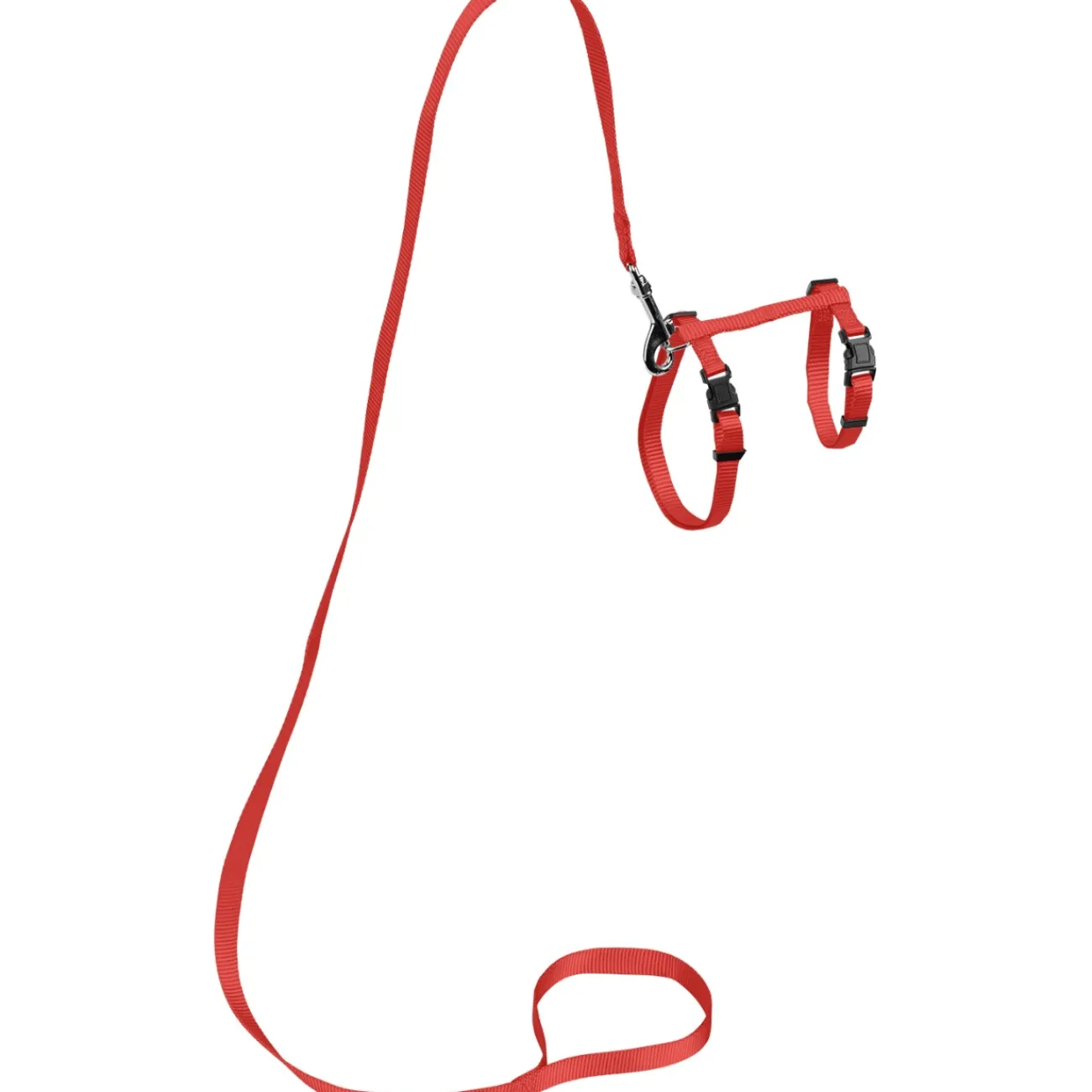 AniOne harnais avec laisse pour grand chat rouge^ Harnais & Laisses
