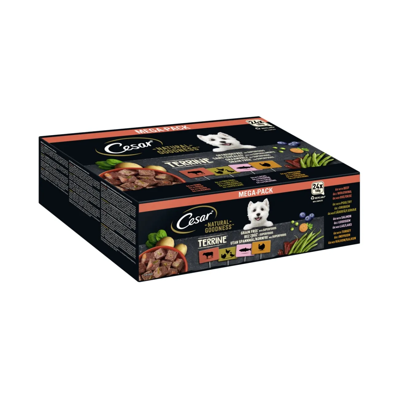 Cesar NATURAL GOODNESS Mega-Pack Terrine 4 variétés 24 x 100 g^ Nourriture Humide