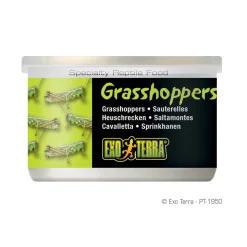 Exo Terra Sauterelles 34g^ Nourriture Principale