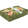 JR Farm JR Bâtonnet foin aux fruits 100 g^ Nourriture Supplémentaire