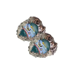 MultiFit Pomme de pin géante 2x1pce^ Nourriture Pour Oiseaux Du Ciel|Nourriture Pour Oiseaux Sauvages