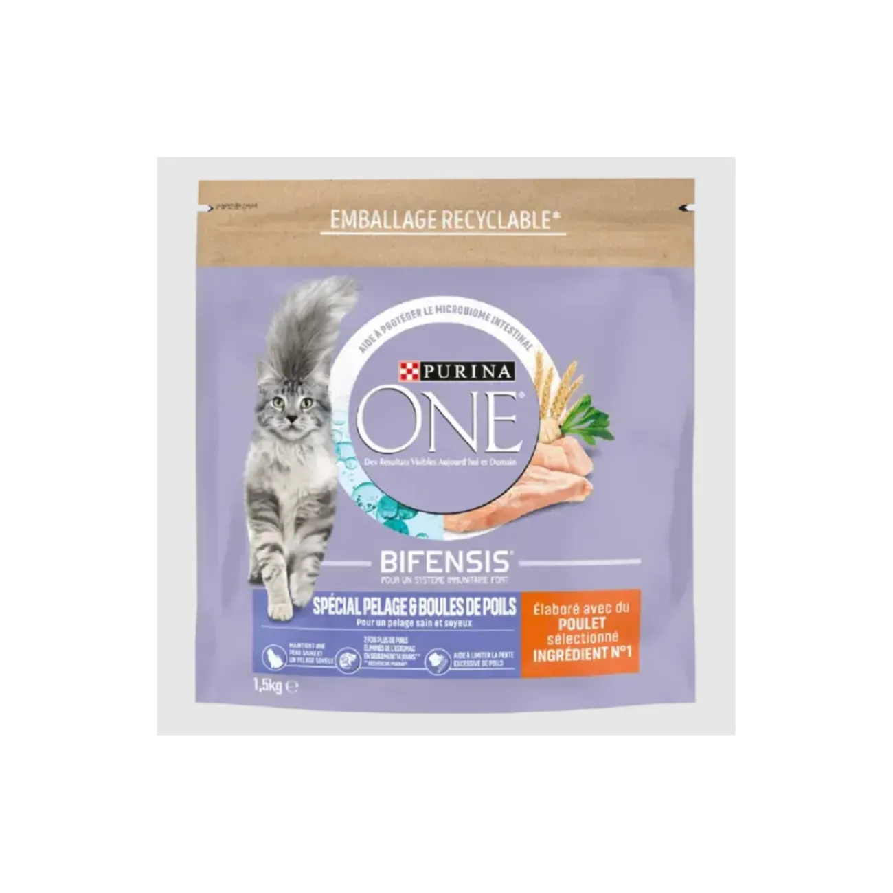 Purina ONE Croquettes pour Chat Spécial Pelage et Boules de Poils au Poulet et aux Céréales 1,5 kg^ Croquettes Pour Chat