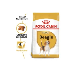 ROYAL CANIN Beagle Adulte Croquettes Chien 3 kg^ Croquettes