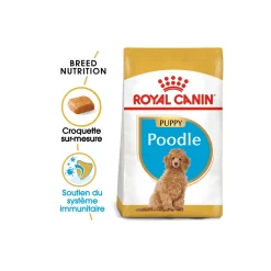 ROYAL CANIN BHN Poodle Puppy 3 kg^ Croquettes|Nourriture