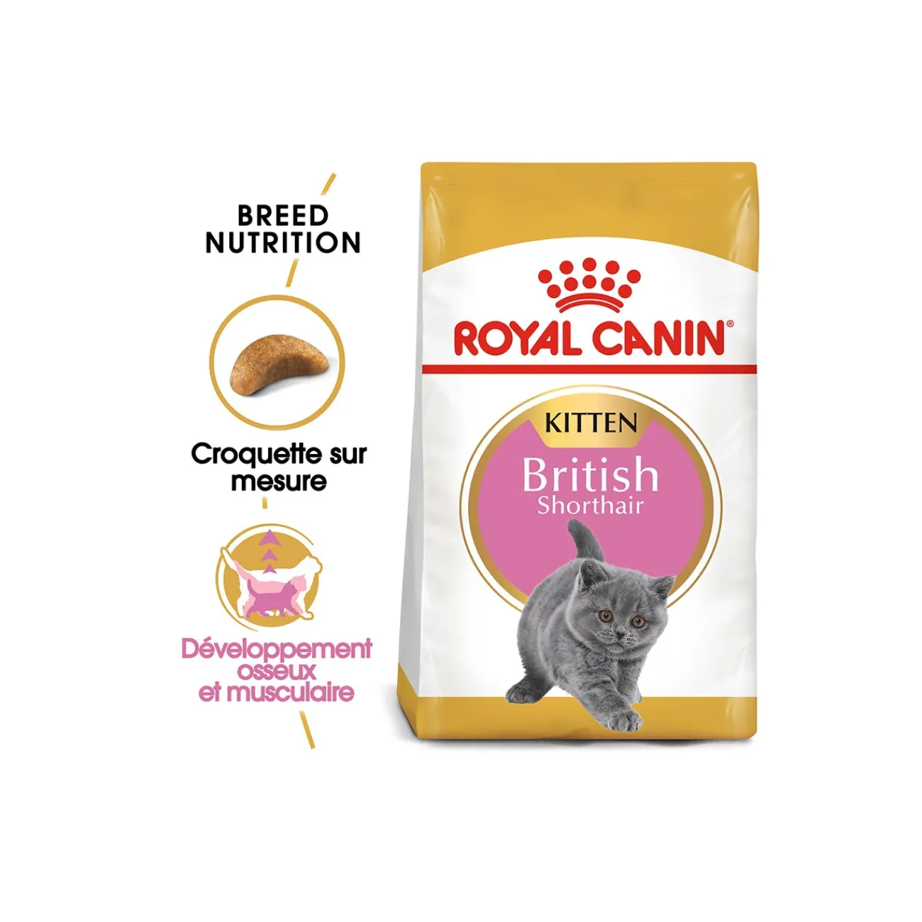 ROYAL CANIN British Shorthair Chaton Croquettes Chat 2 kg^ Croquettes Pour Chat|Nourriture