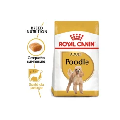 ROYAL CANIN Caniche Adulte Croquettes Chien 1,5 kg^ Croquettes