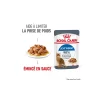 ROYAL CANIN Care Light Weight en sauce 12x85 g^ Nourriture Humide
