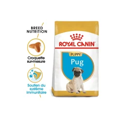 ROYAL CANIN Carlin Chiot Croquettes Chien 1,5 kg^ Croquettes|Nourriture