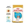 ROYAL CANIN Cavalier King Charles Chiot Croquettes Chien 1,5 kg^ Croquettes|Nourriture