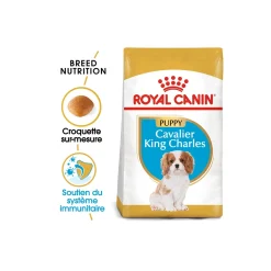ROYAL CANIN Cavalier King Charles Chiot Croquettes Chien 1,5 kg^ Croquettes|Nourriture