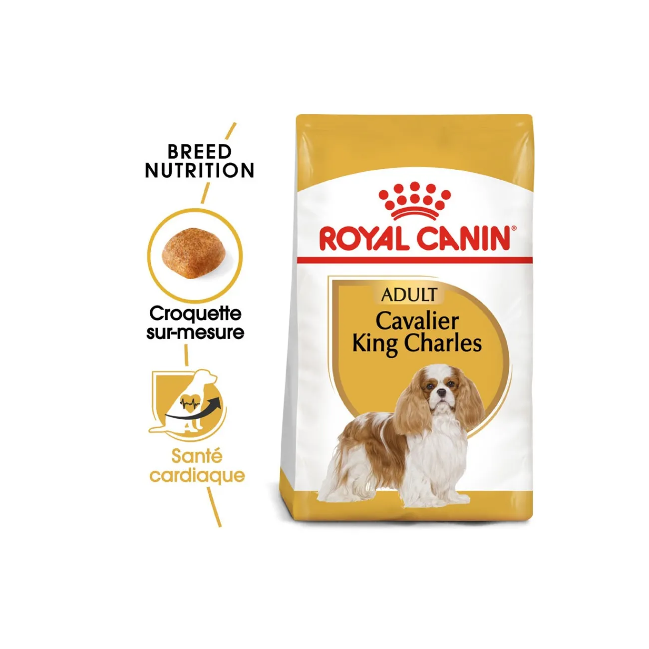 ROYAL CANIN Cavalier King Charles Adulte Croquettes Chien 1,5 kg^ Croquettes