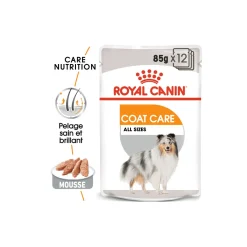 ROYAL CANIN Coat Care Adult Mousse 12x85 g^ Nourriture Humide