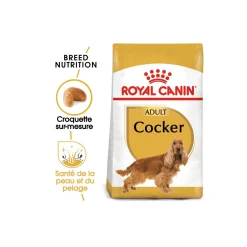 ROYAL CANIN Cocker Adulte Croquettes Chien 3 kg^ Croquettes