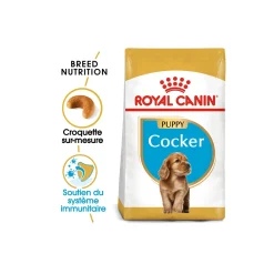 ROYAL CANIN Cocker Chiot Croquettes Chien 3 kg^ Croquettes|Nourriture
