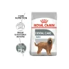 ROYAL CANIN Dental Care Maxi Croquettes Chien 9 kg^ Croquettes