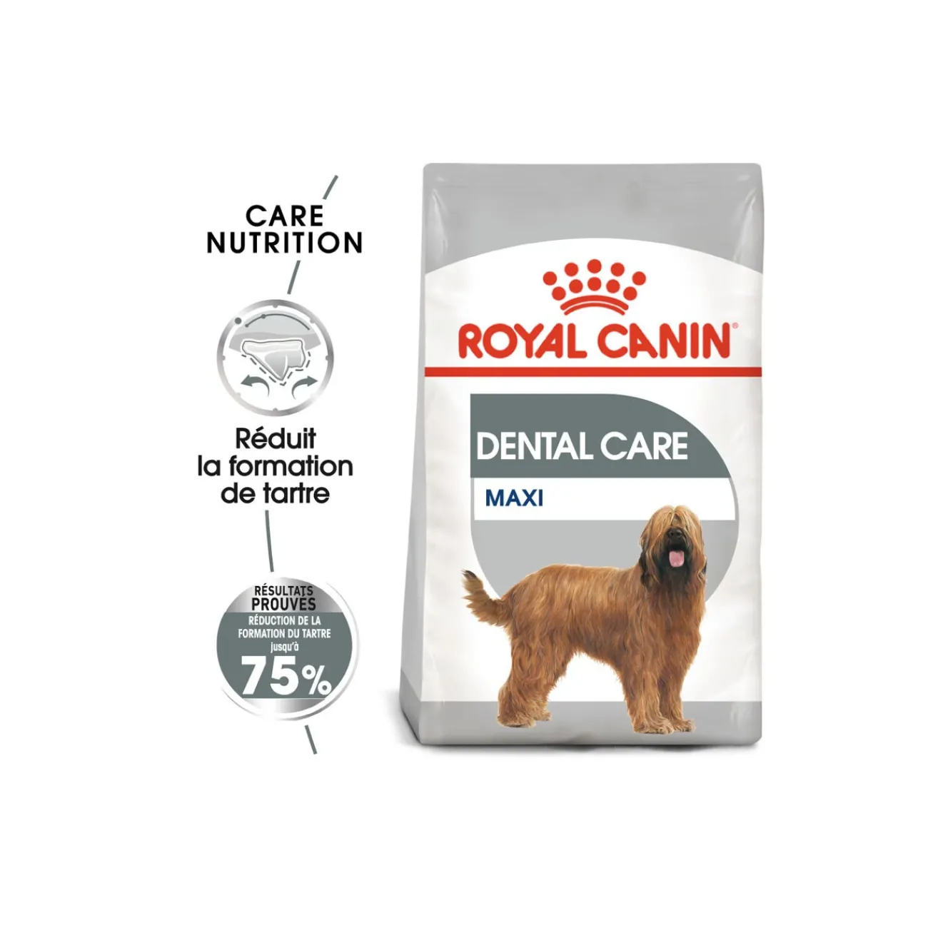 ROYAL CANIN Dental Care Maxi Croquettes Chien 9 kg^ Croquettes