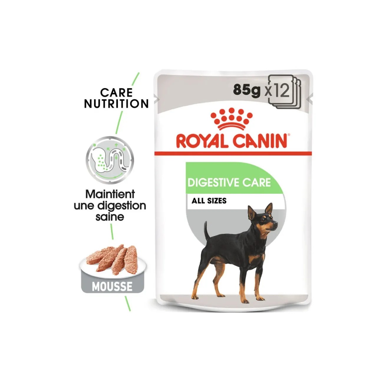 ROYAL CANIN Digestive Care Adult Mousse 12x85 g^ Nourriture Humide