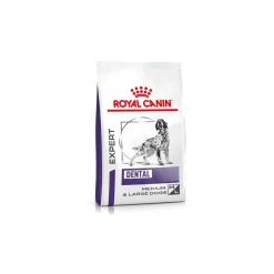 ROYAL CANIN Expert Dental Medium & Large Dogs 6 kg^ Croquettes