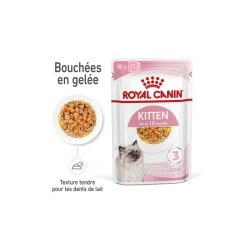 ROYAL CANIN Kitten en gelée 12x85 g^ Nourriture Humide|Nourriture