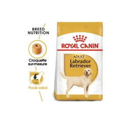 ROYAL CANIN Labrador Retriever Adulte 12 kg^ Croquettes