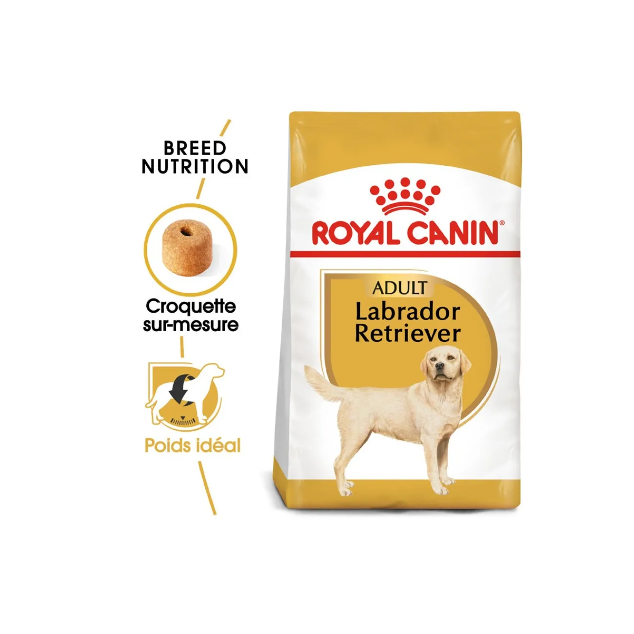 ROYAL CANIN Labrador Retriever Adulte 12 kg^ Croquettes