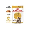 ROYAL CANIN Maine Coon Adult en sauce 12x85 g^ Nourriture Humide