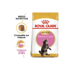 ROYAL CANIN Maine Coon Chaton Croquettes Chat 4 kg^ Croquettes Pour Chat|Nourriture