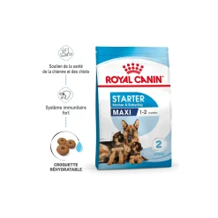 ROYAL CANIN Maxi Starter Croquettes Chien 15 kg^ Croquettes|Nourriture