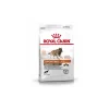 ROYAL CANIN ÉNERGIE 4300 (TRAIL) 15 kg^ Croquettes