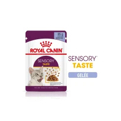 ROYAL CANIN Sensory Taste Nourriture humide Chat 12 x 85 g^ Nourriture Humide