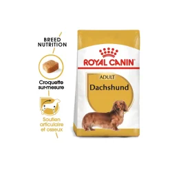 ROYAL CANIN Teckel Adulte Croquettes Chien 1,5 kg^ Croquettes