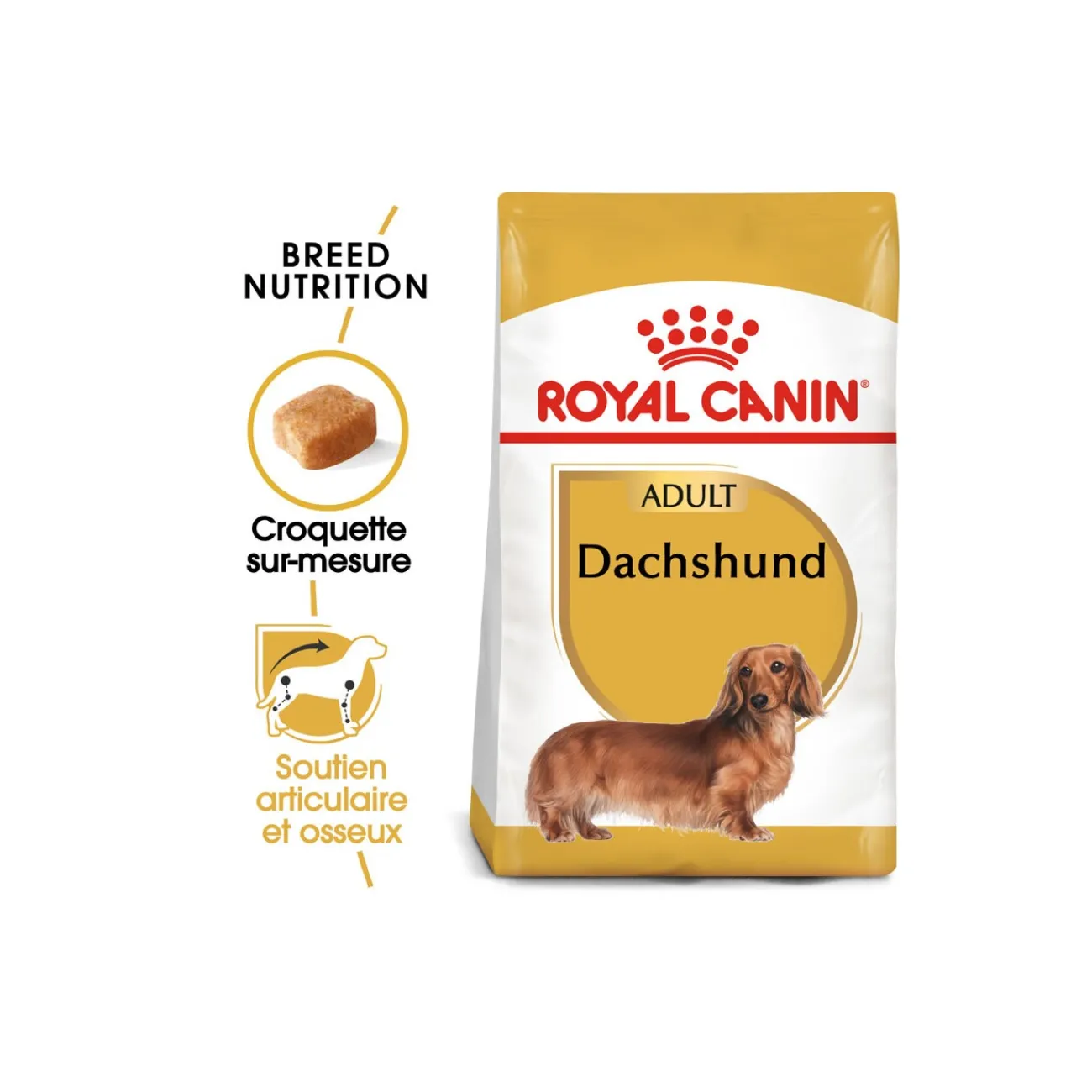 ROYAL CANIN Teckel Adulte Croquettes Chien 1,5 kg^ Croquettes