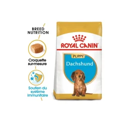 ROYAL CANIN Teckel Chiot Croquettes Chien 1,5 kg^ Croquettes|Nourriture