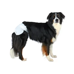 Trixie Couches jetables pour chiennes M 12 pcs^ Couches Pour Chien
