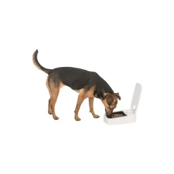 Trixie Distributeur automatique TX1^ Distributeurs|Distributeurs