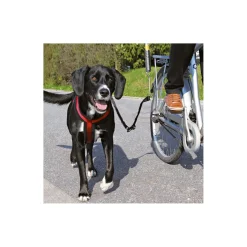Trixie Set de motard pour chiens^ Accessoires Pour Le Vélo