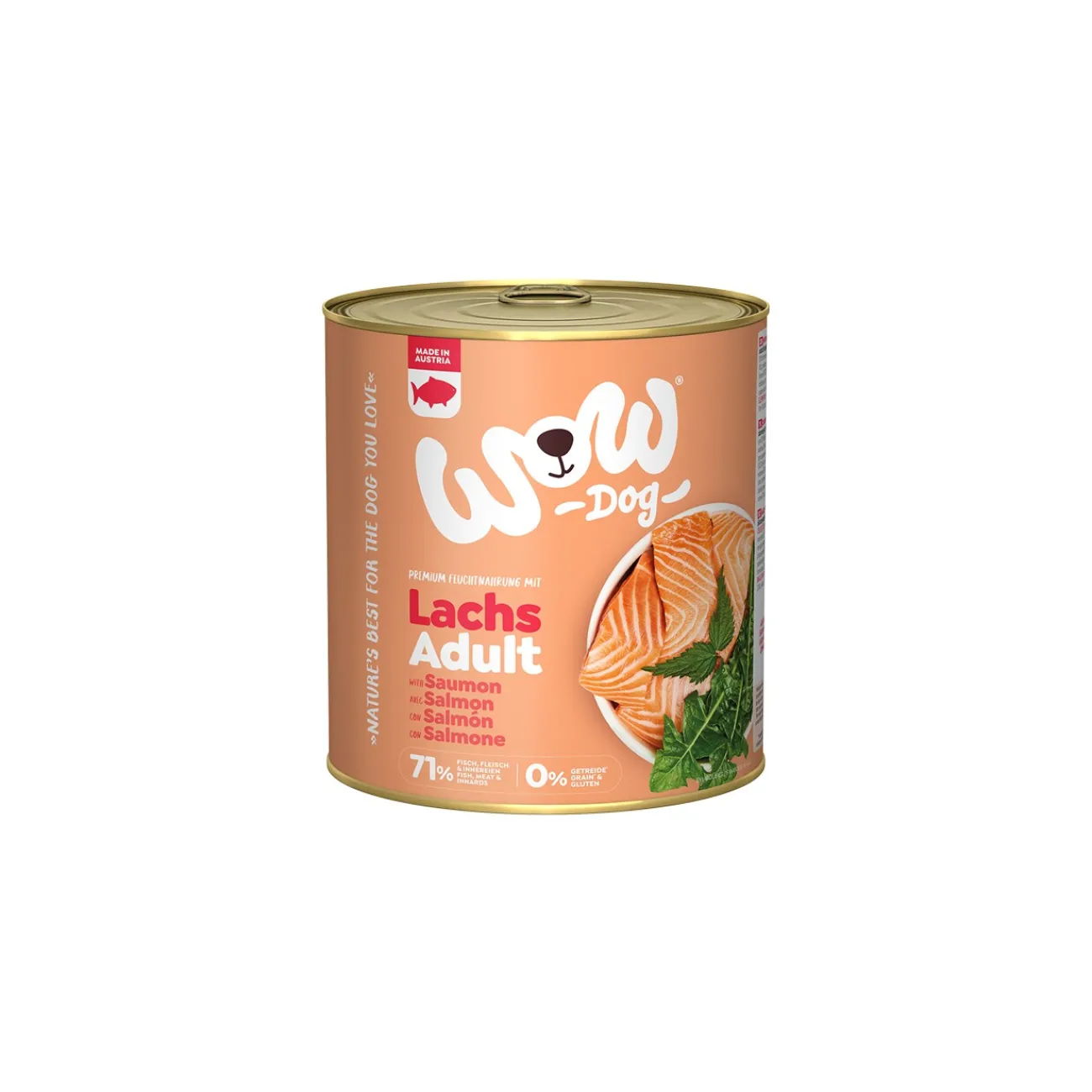 WOW nourriture humide pour chien, adulte 6x800 g Saumon et pissenlit^ Nourriture Humide
